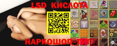 спиды Донской