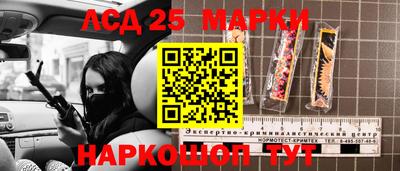 спиды Донской