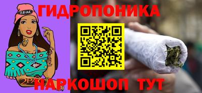спиды Донской
