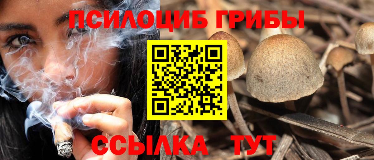 Псилоцибиновые грибы GOLDEN TEACHER Чебаркуль